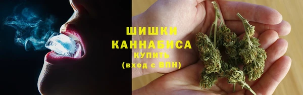 индика Тихорецк