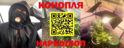 прущие грибы Абинск