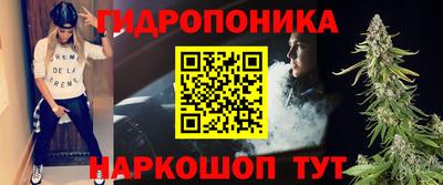 прущие грибы Абинск