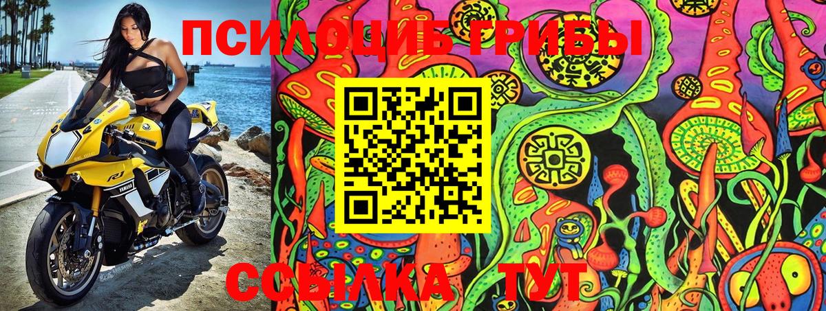Галлюциногенные грибы Psilocybe Абакан