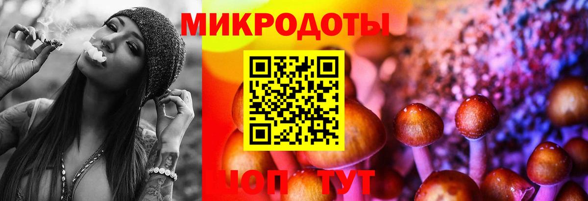 Псилоцибиновые грибы мицелий Абакан