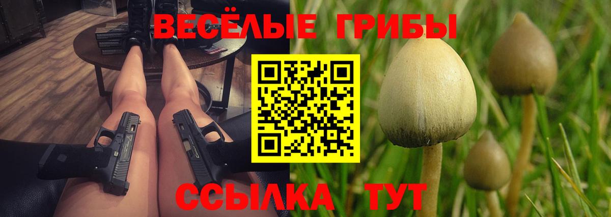 Абакан  Псилоцибиновые грибы мицелий  Вход с VPN  Галлюциногенные грибы прущие грибы 